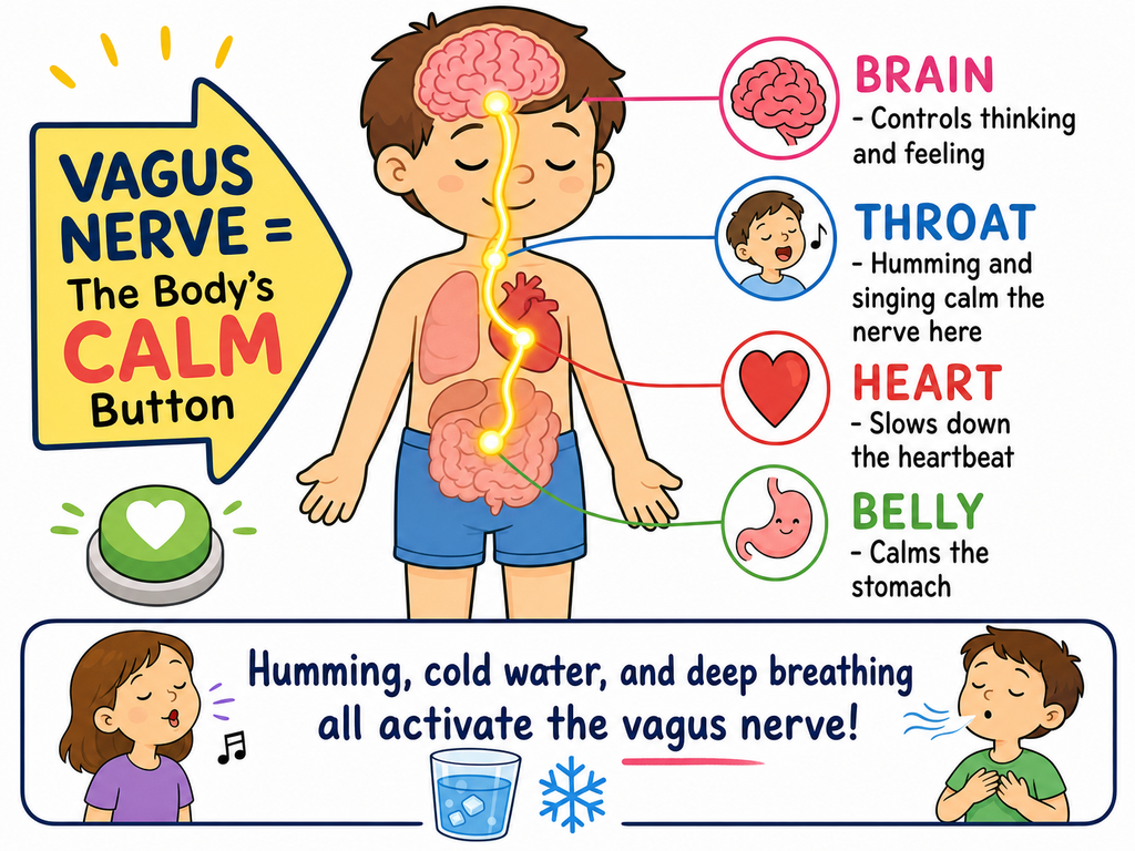 Brain Warm-Ups & Cool-Downs 12 Week Course for Parents