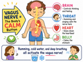 Brain Warm-Ups & Cool-Downs 12 Week Course for Parents